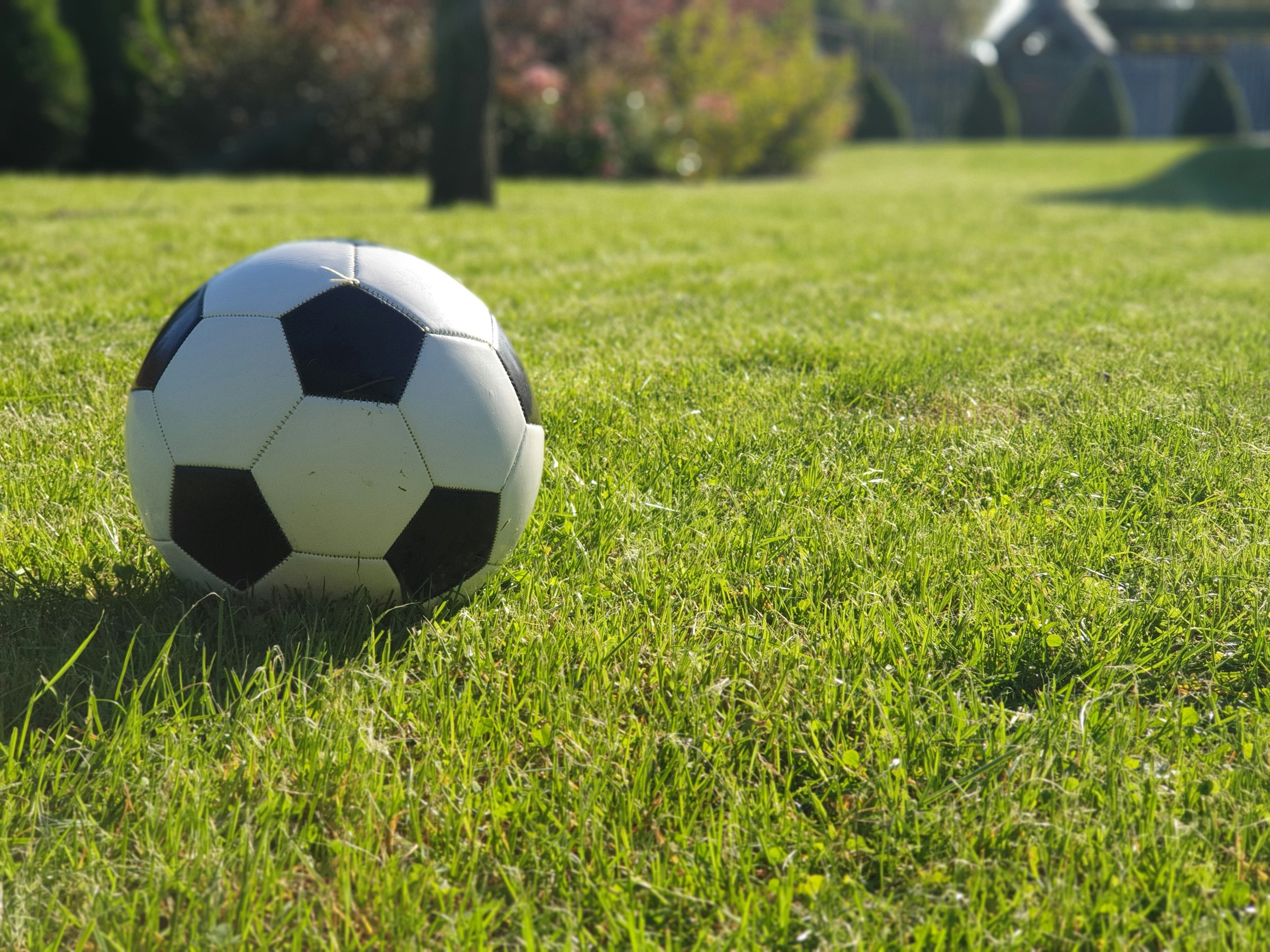 adult soccer